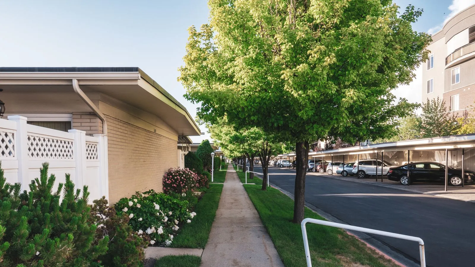 A quiet residential street with a sidewalk, trees, and modest houses